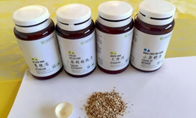 Pharmacopée chinoise – Les granules de plantes (Ke Li)