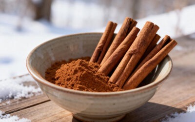 Cannelle en diététique chinoise
