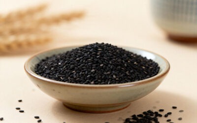 Le sésame noir en diététique chinoise : usages traditionnels et regard contemporain