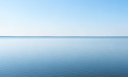 6: Quand le corps n’a plus besoin de se défendre