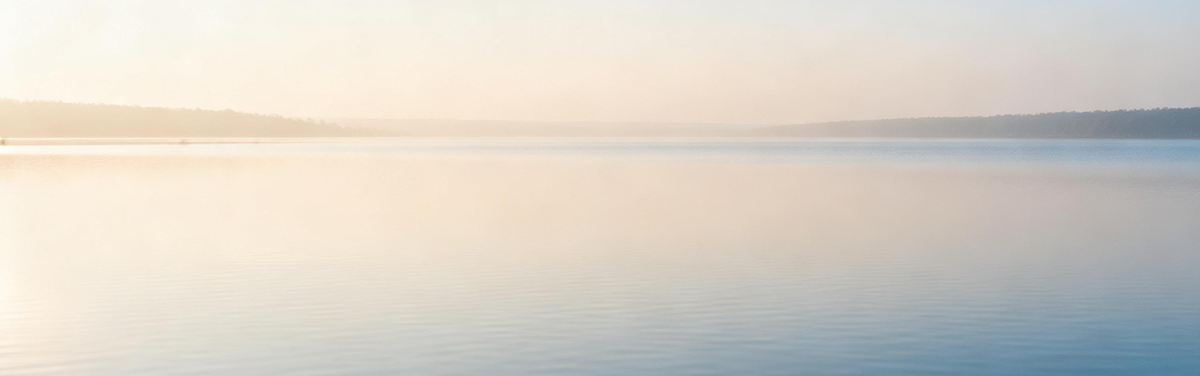 8: Quand le toucher apaise avant de corriger