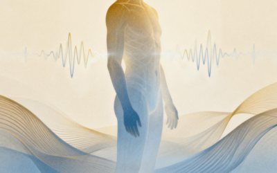 Quand le mouvement n’est pas encore de la régulation